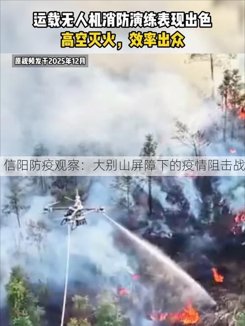 信阳防疫观察:大别山屏障下的疫情阻击战