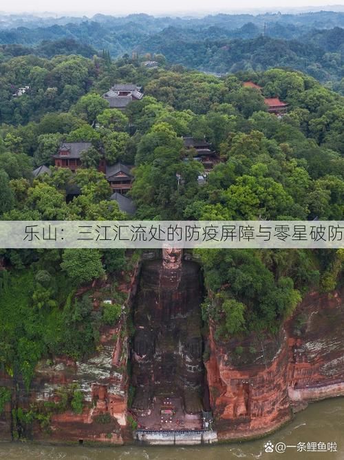 乐山:三江汇流处的防疫屏障与零星破防