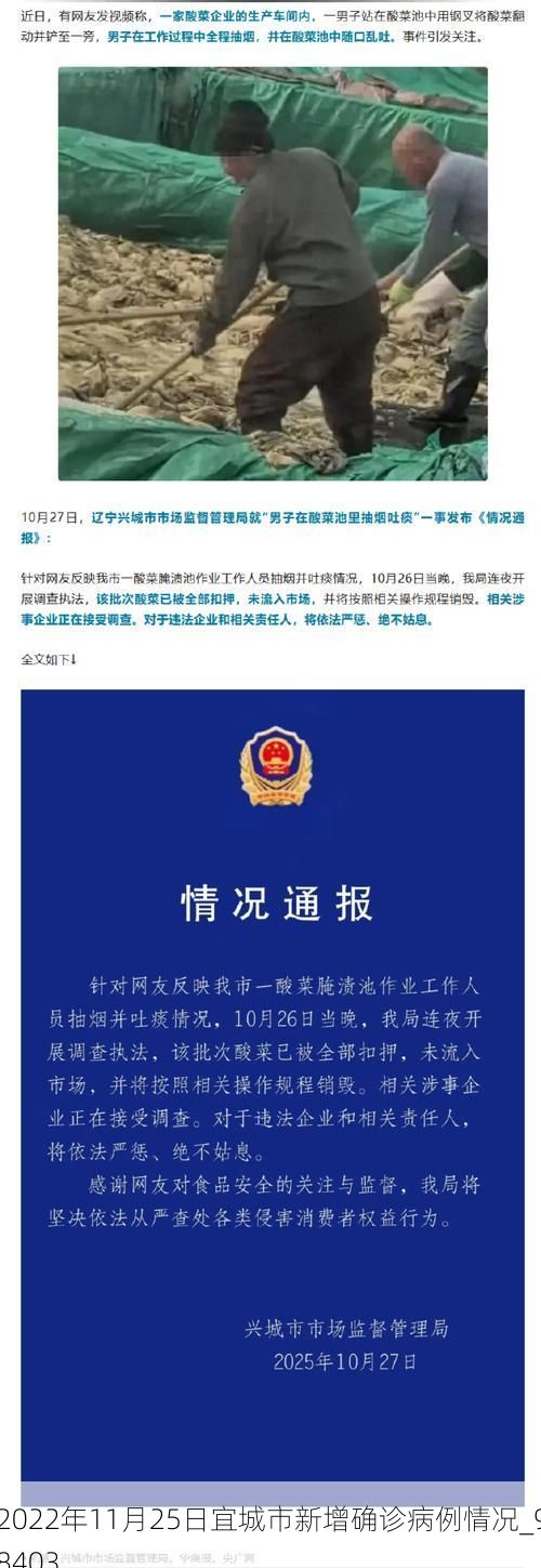 2022年11月25日宜城市新增确诊病例情况_98403