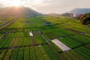 深圳坪山澜湾花园房产证